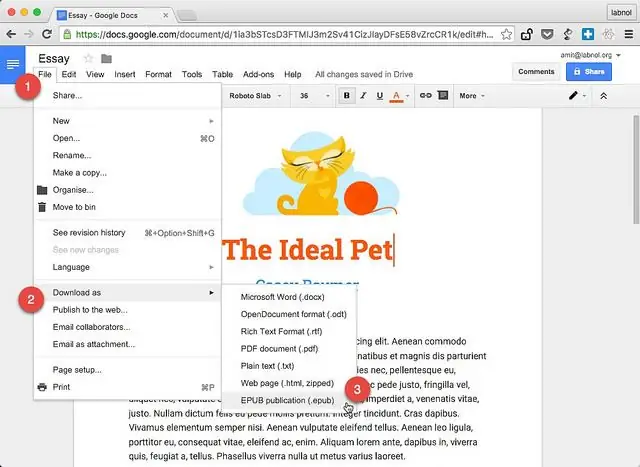 Diferencia entre Google Docs y Google Drive